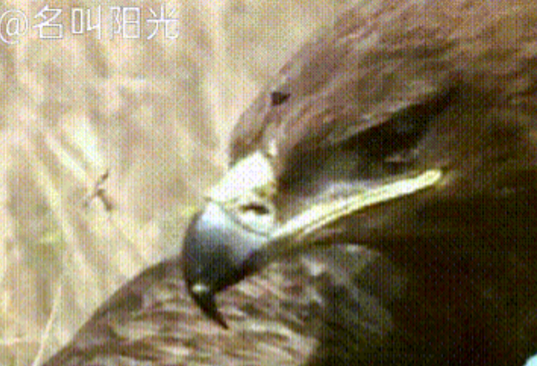 江南雷霆队鏖战蓬莱金雕队，篮球常规赛失利，核心复出即建功。边路成突破口(金雕部队事件)